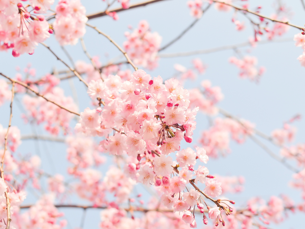 Spring Into Style: Trends For The Spring