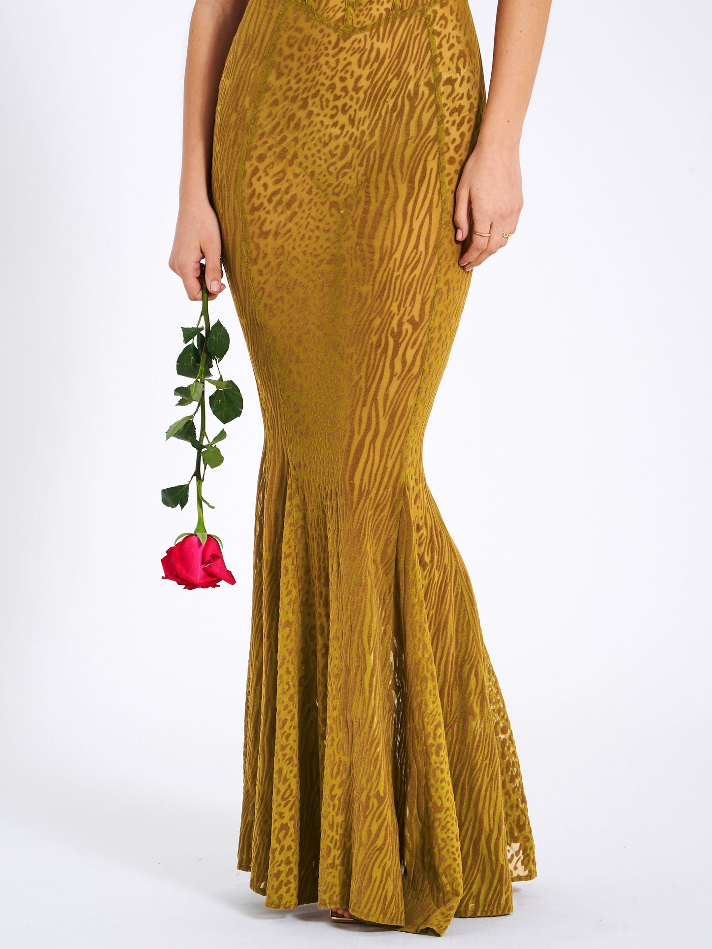 Ulani Burnout Velvet Detail Mesh Maxi Dress