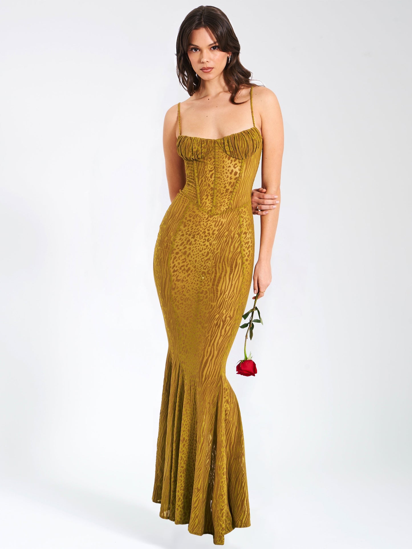 Ulani Burnout Velvet Detail Mesh Maxi Dress