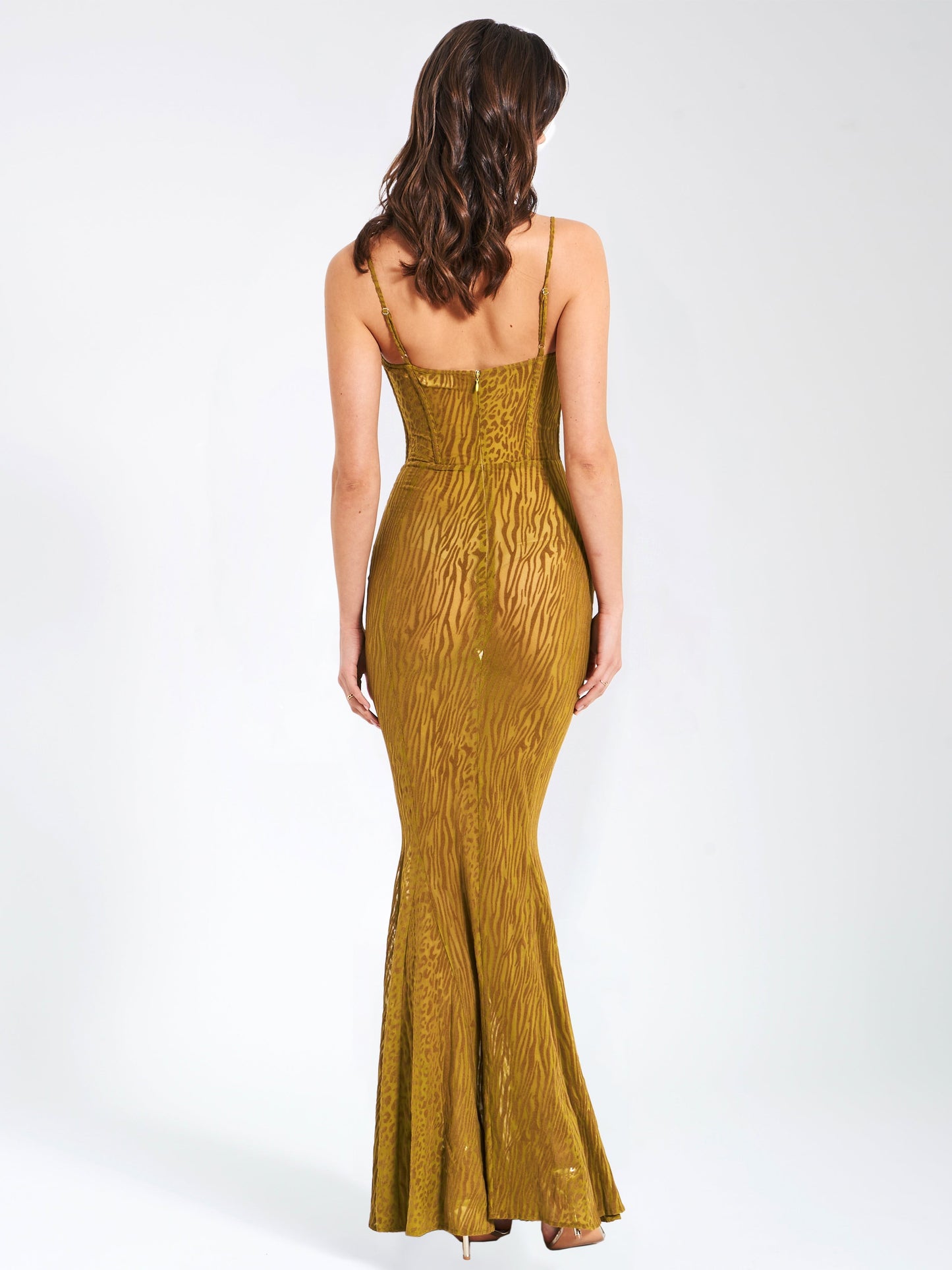 Ulani Burnout Velvet Detail Mesh Maxi Dress