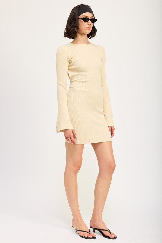 Emmy Long Sleeve Mini Dress