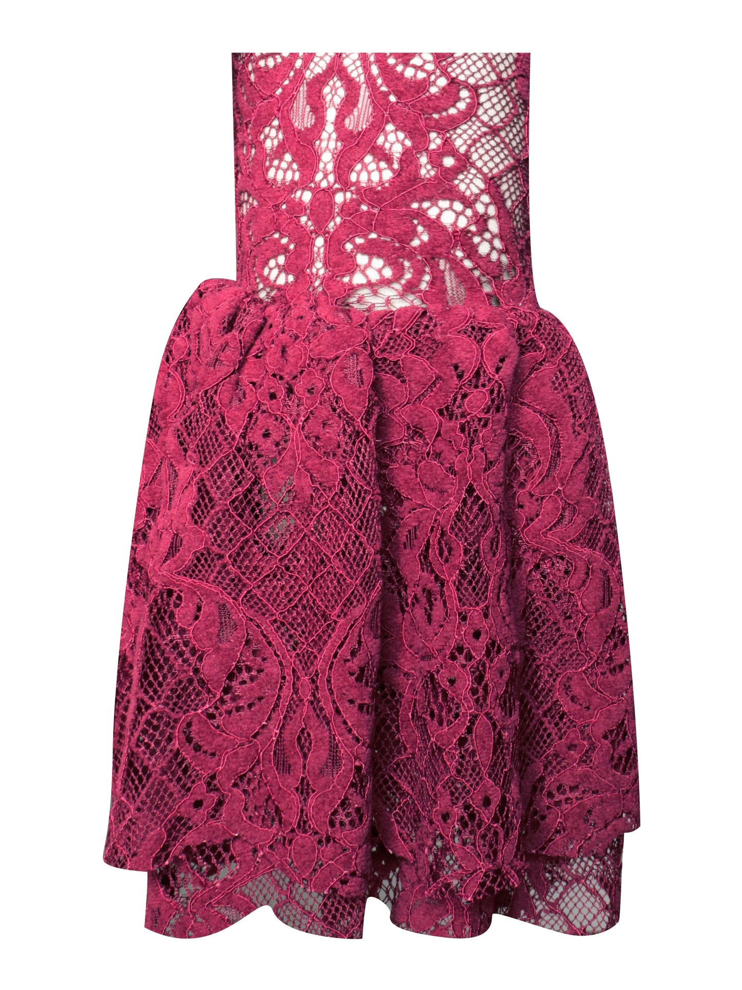 Yachira Burgundy Velvet Lace Flare Mini Dress
