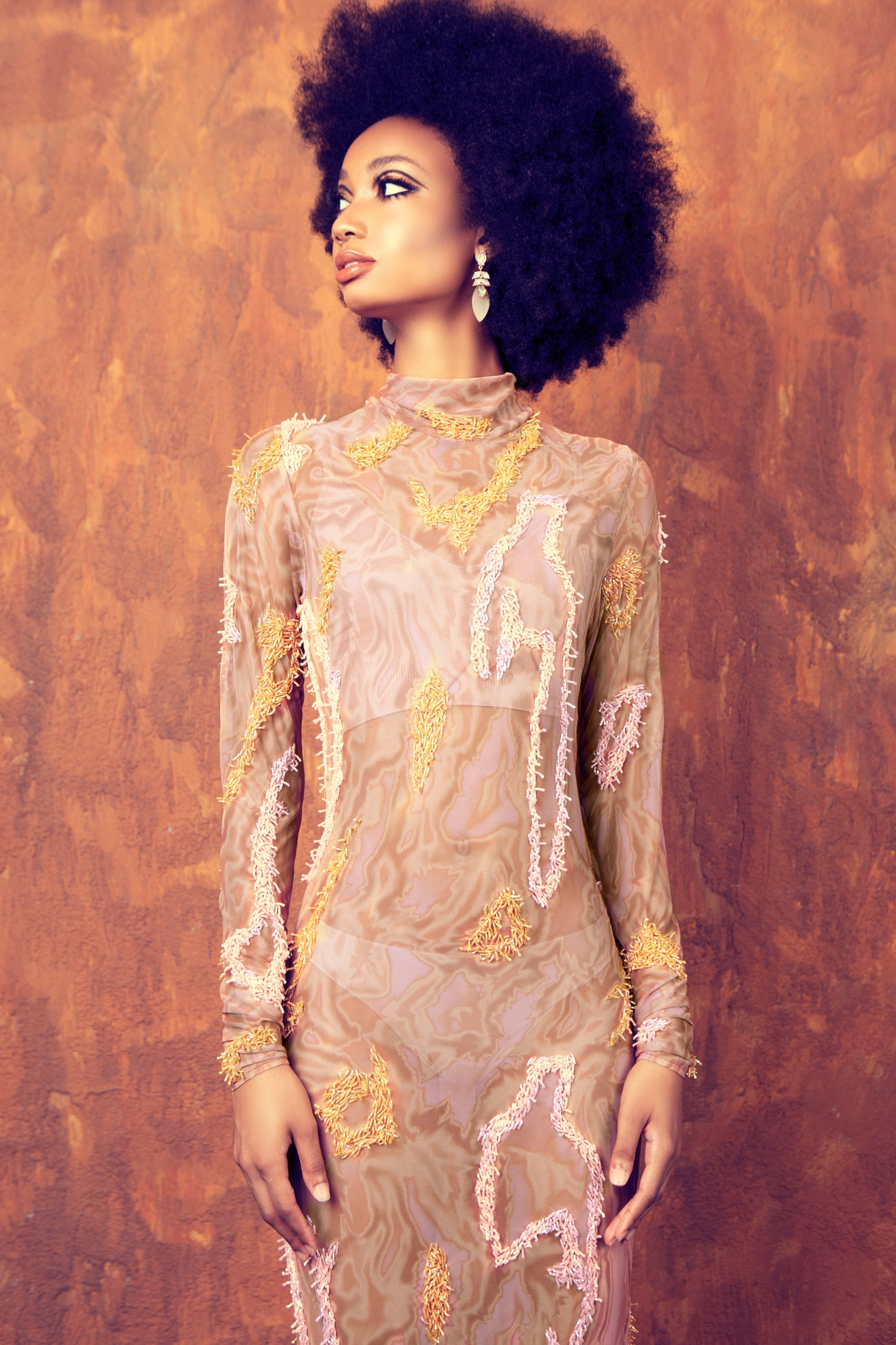 Zusi Dress