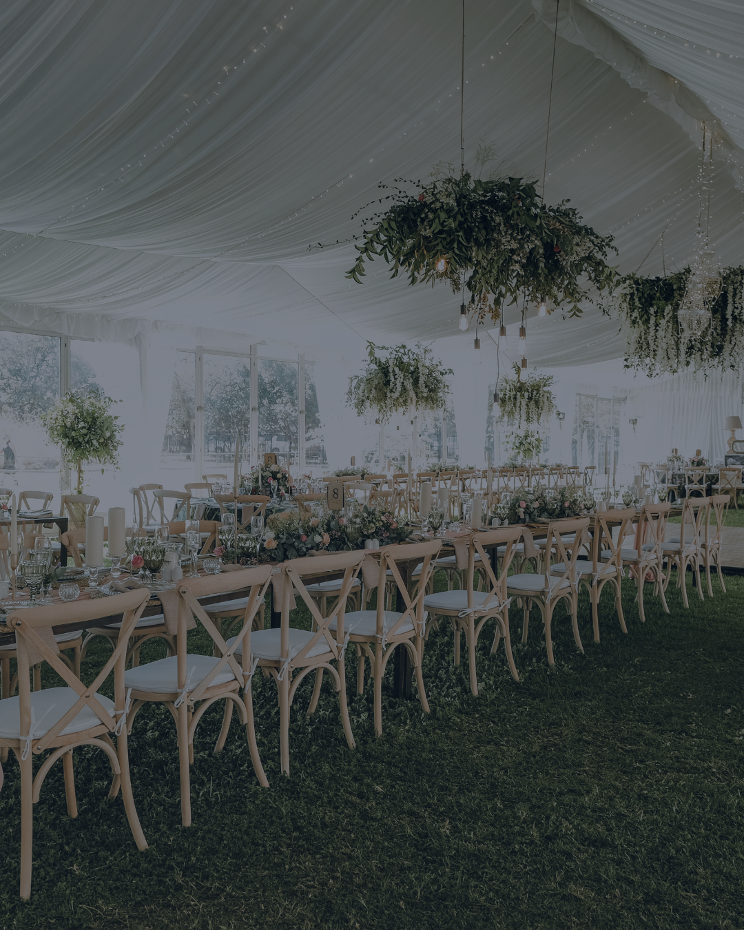 Wedding Guest