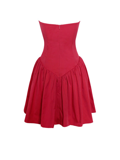 Sacha Red Lace Bustier Corset Mini Dress