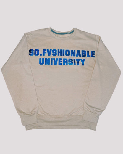 University Sweatshirt